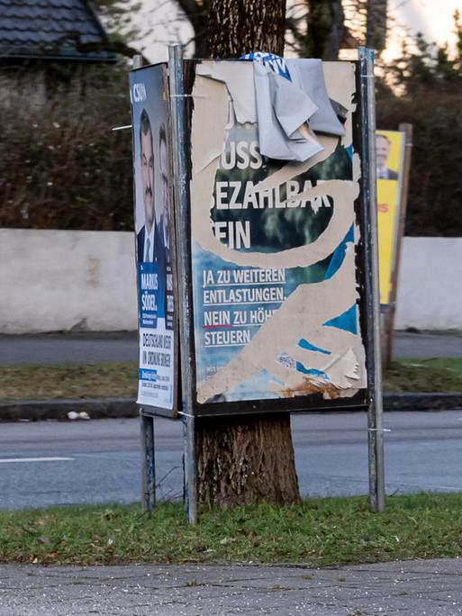 Zerstörte Wahlkampfplakate sind an einem Baumstamm angebracht.