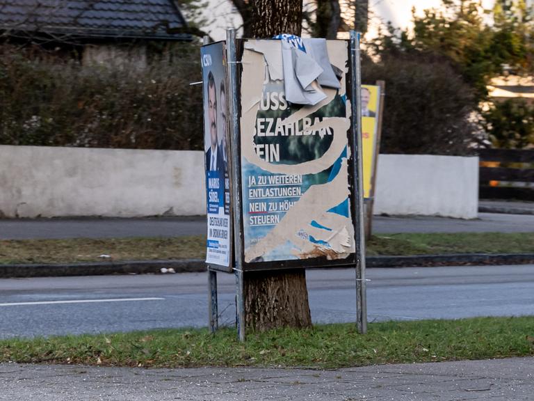 Zerstörte Wahlkampfplakate sind an einem Baumstamm angebracht.