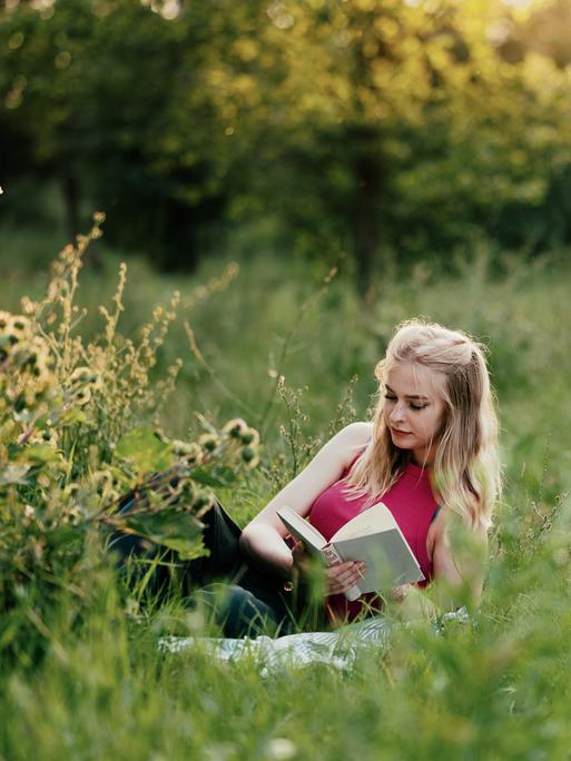 Eine Frau liegt in einer Sommerwiese und liest ein Buch Eine Frau liegt in einer Sommerwiese und liest ein Buch