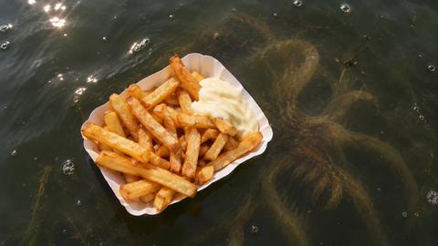 Das Monster vom Tegeler See hat eine Lieblingsspeise: Pommes mit Mayo.
Das Monster vom Tegeler See hat eine Lieblingsspeise: Pommes mit Mayo.