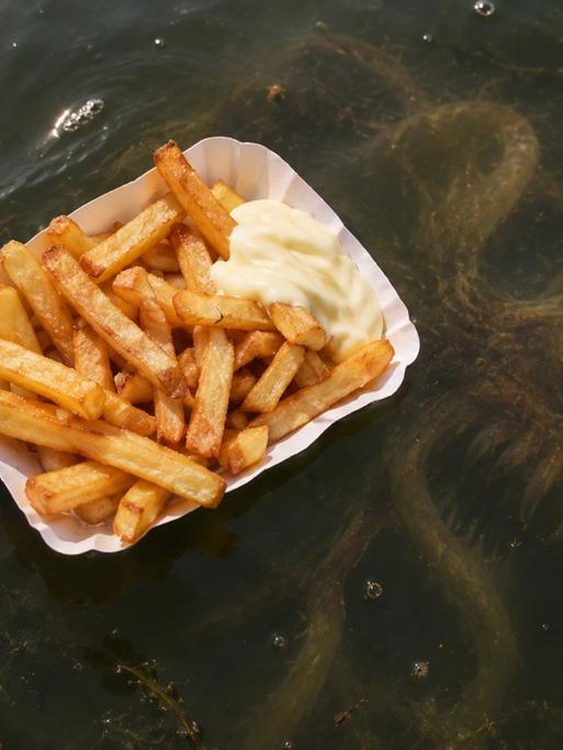 Das Monster vom Tegeler See hat eine Lieblingsspeise: Pommes mit Mayo.


