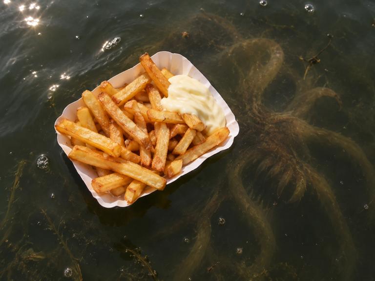 Das Monster vom Tegeler See hat eine Lieblingsspeise: Pommes mit Mayo.

