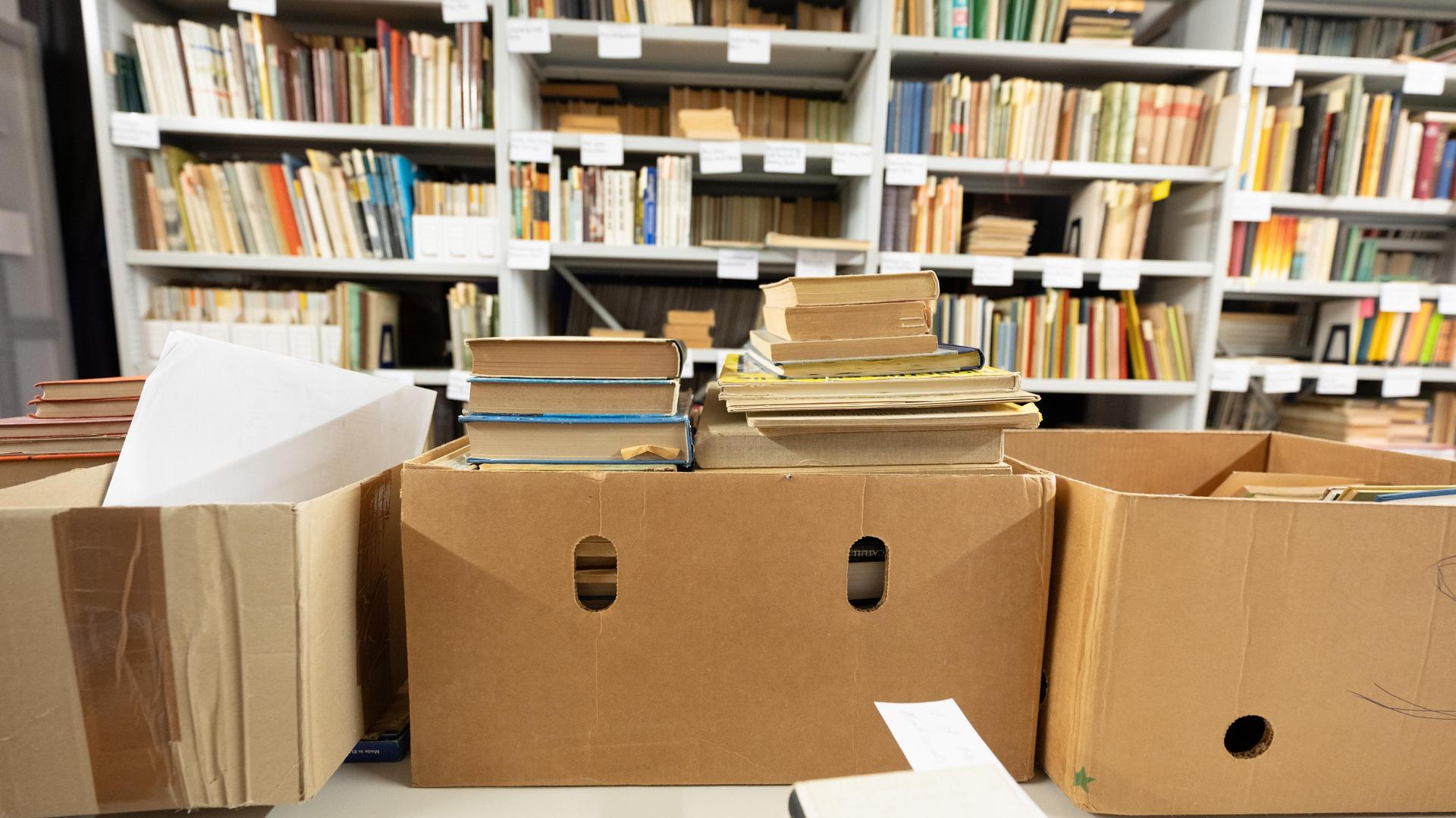 Bücher stapeln sich in der DDR-Bibliothek von Peter Sodann.