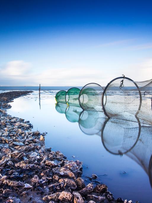 Eine Reuse in Lauwersoog im niederländischen Wattenmeer 