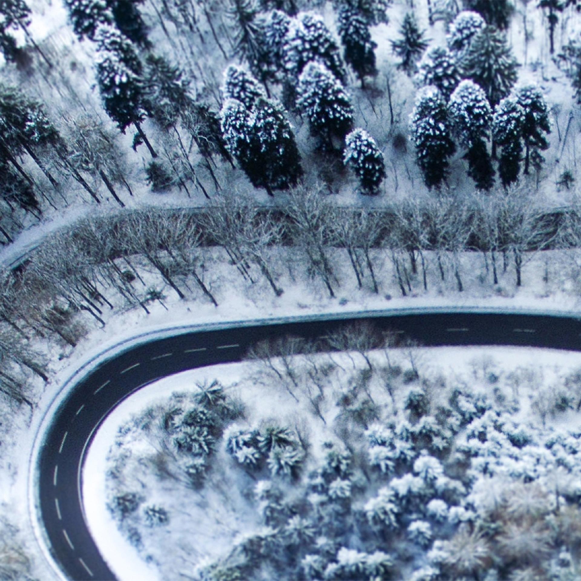 Nur die Tiere (1/2) - Krimi-Hörspiel: Rätselhafter Fall im Zentralmassiv