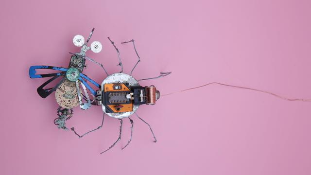 Eine Roboterspinne und eine Roboterfliege die sehr nach DIY aussehen vor rosa Hintergrund.