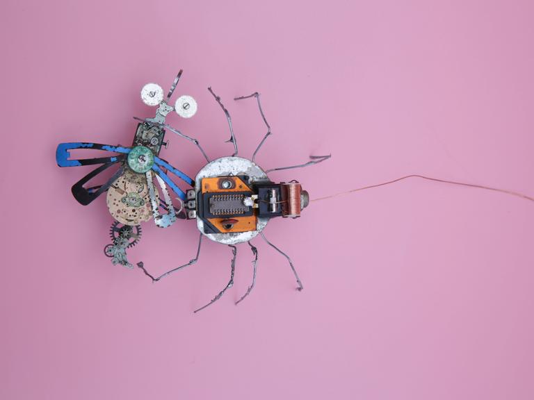 Eine Roboterspinne und eine Roboterfliege die sehr nach DIY aussehen vor rosa Hintergrund.