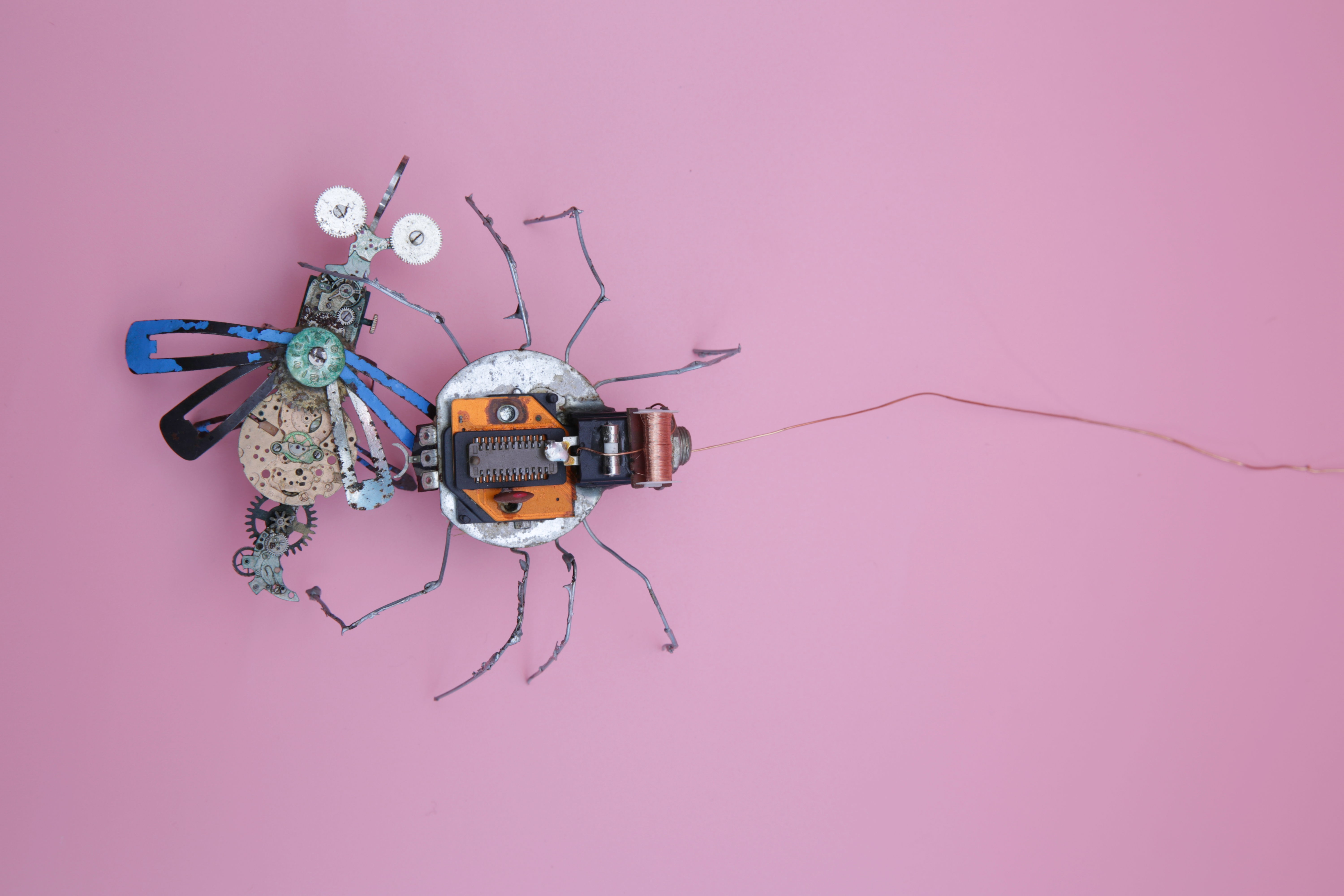 Eine Roboterspinne und eine Roboterfliege die sehr nach DIY aussehen vor rosa Hintergrund.