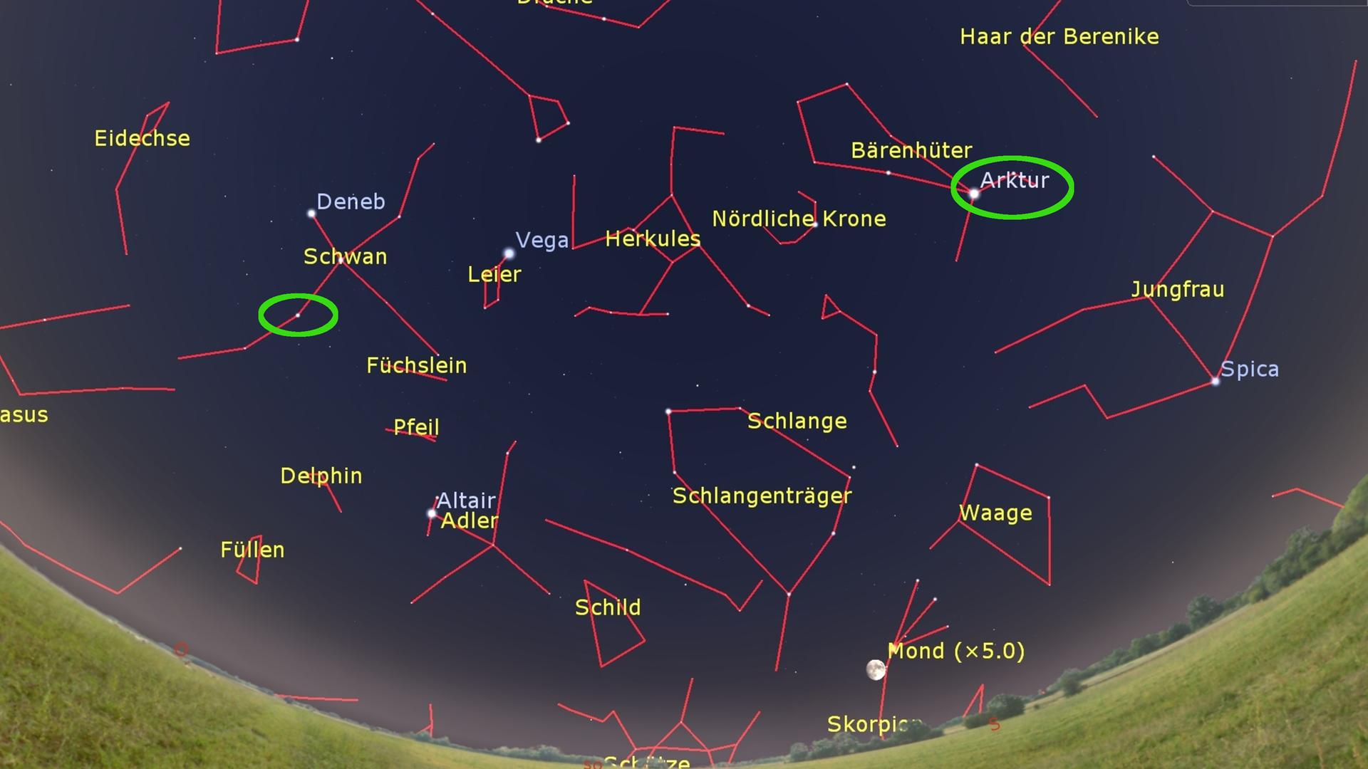 Eine Sternkarte zeigt den Nachthimmel mit eingezeichneten Sternbildern und beschrifteten hellen Sternen. Zwei davon sind grün umkringelt: Arktur und einer im Sternbild Schwan.