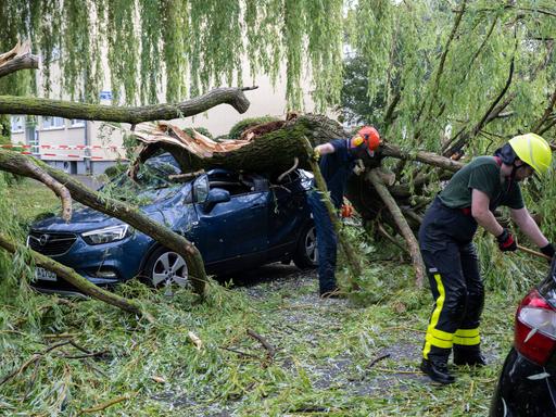 22.06.2023, Frankfurt am Main: Nach einem schweren Unwetter räumen Feuerwehrleute Baumäste von einem geparkten Auto. 