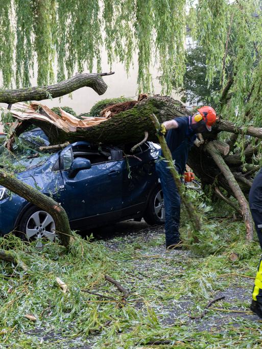 22.06.2023, Frankfurt am Main: Nach einem schweren Unwetter räumen Feuerwehrleute Baumäste von einem geparkten Auto. 