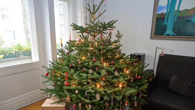 Ein geschmückter Weihnachts-Baum steht in einem Wohn-Zimmer.