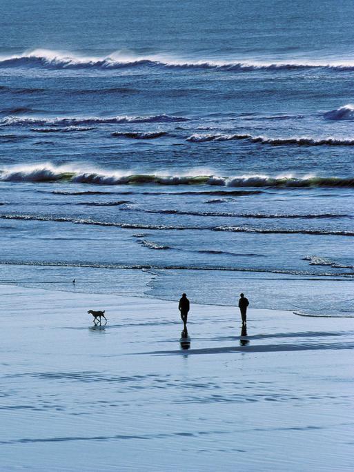 Zwei Menschen und ein Hund gehen am Meeresstrand spazieren.