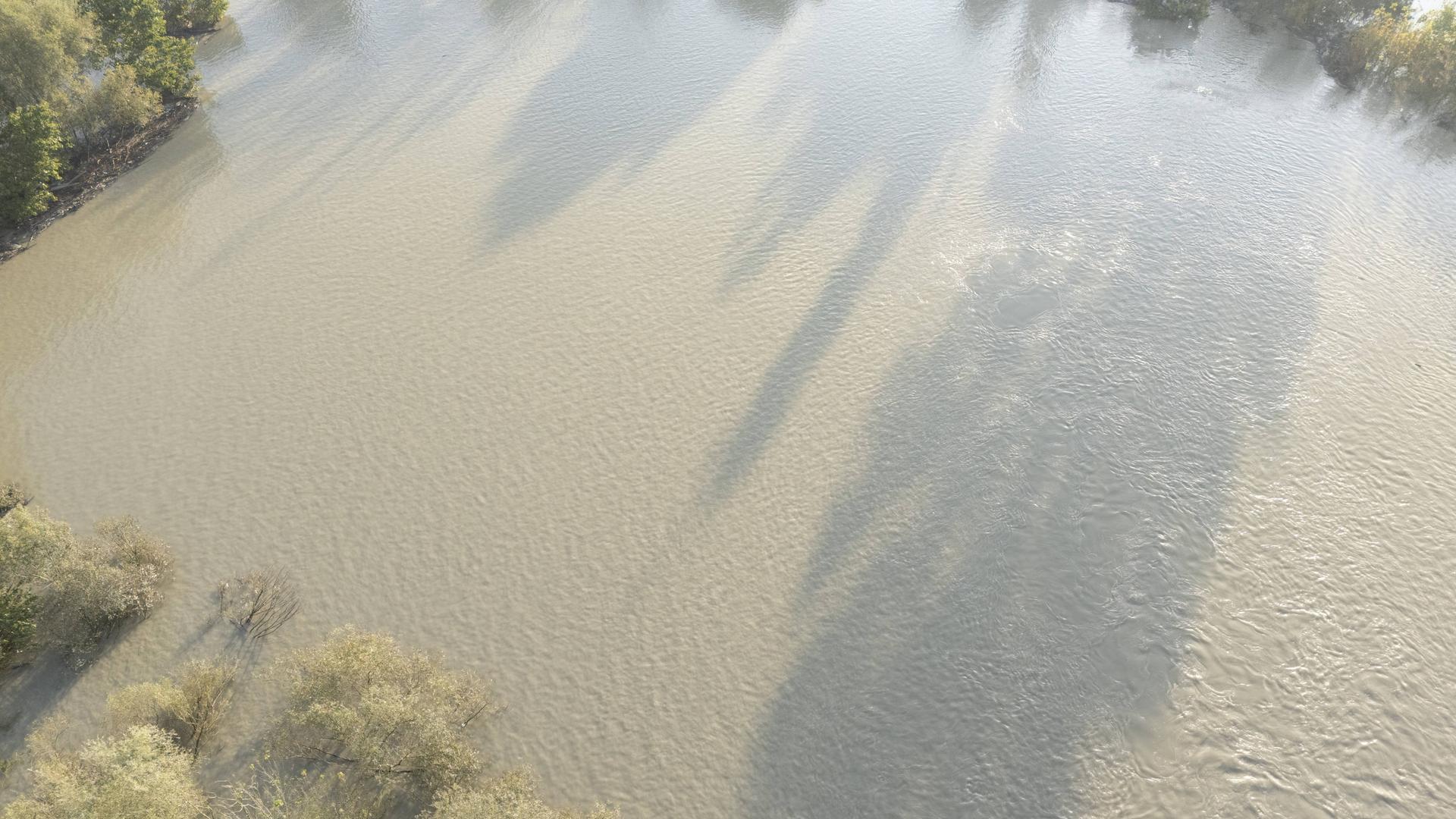 Luftaufnahme des schlammigen Wassers, das über die Ufer des Po fließt und das umliegende Land bedeckt, mit einigen Bäumen und Sträuchern, die nach starken Regenfällen um ihr Überleben kämpfen