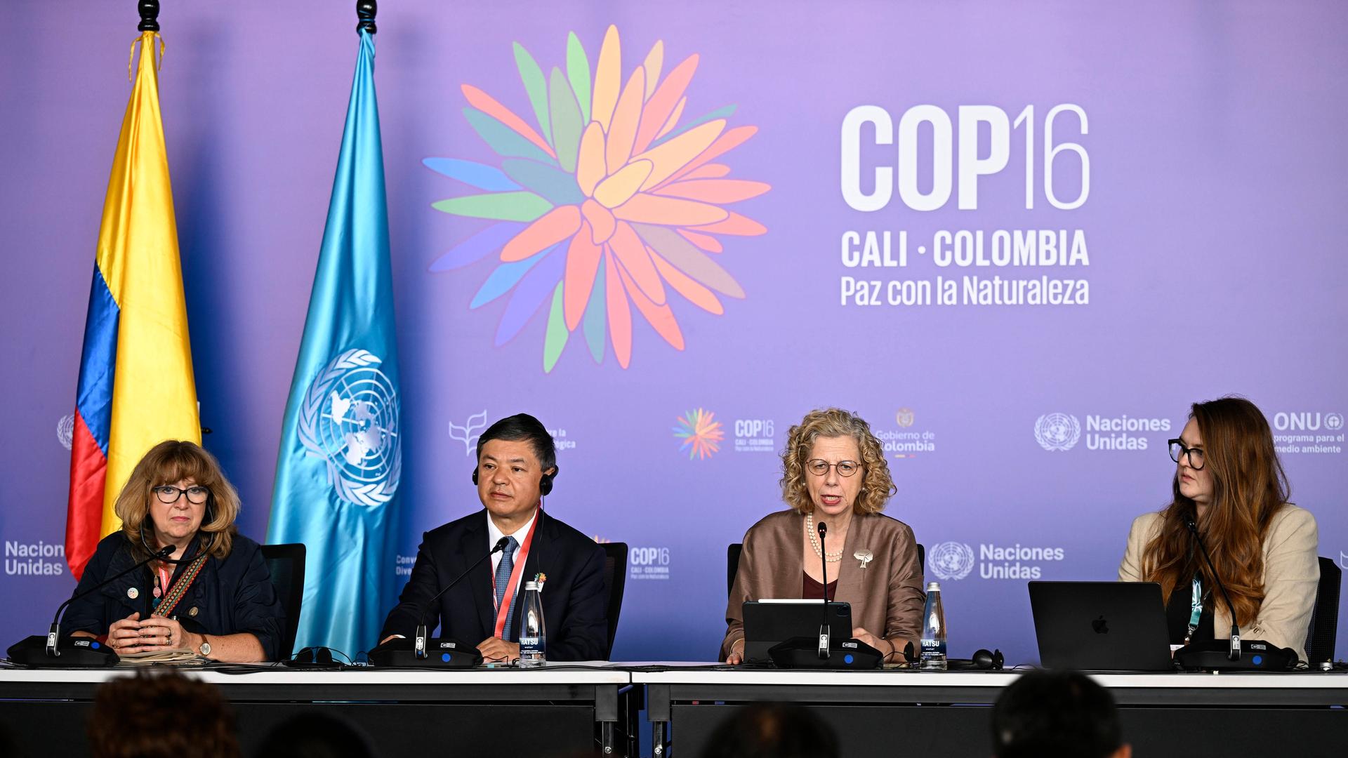 Teilnehmer der Artenschutzkonferenz COP16 sitzen auf einem Podium.