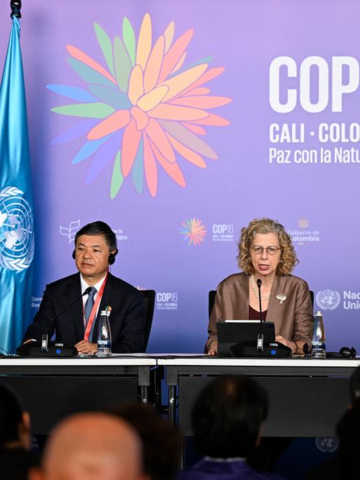 Teilnehmer der Artenschutzkonferenz COP16 sitzen auf einem Podium.