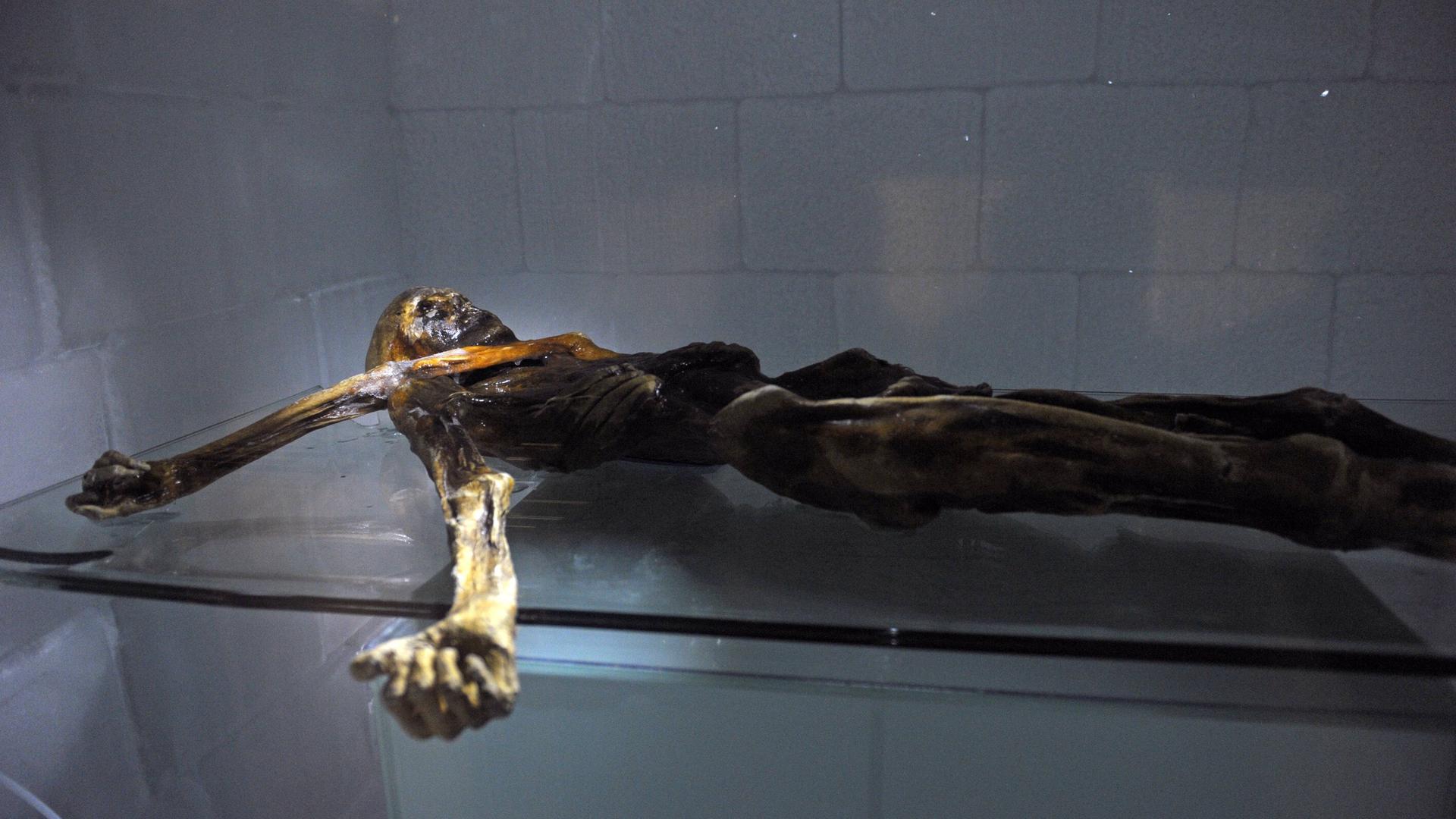 Die Gletscher-Mumie Ötzi liegt im Südtiroler Archäologiemuseum in Bozen.
