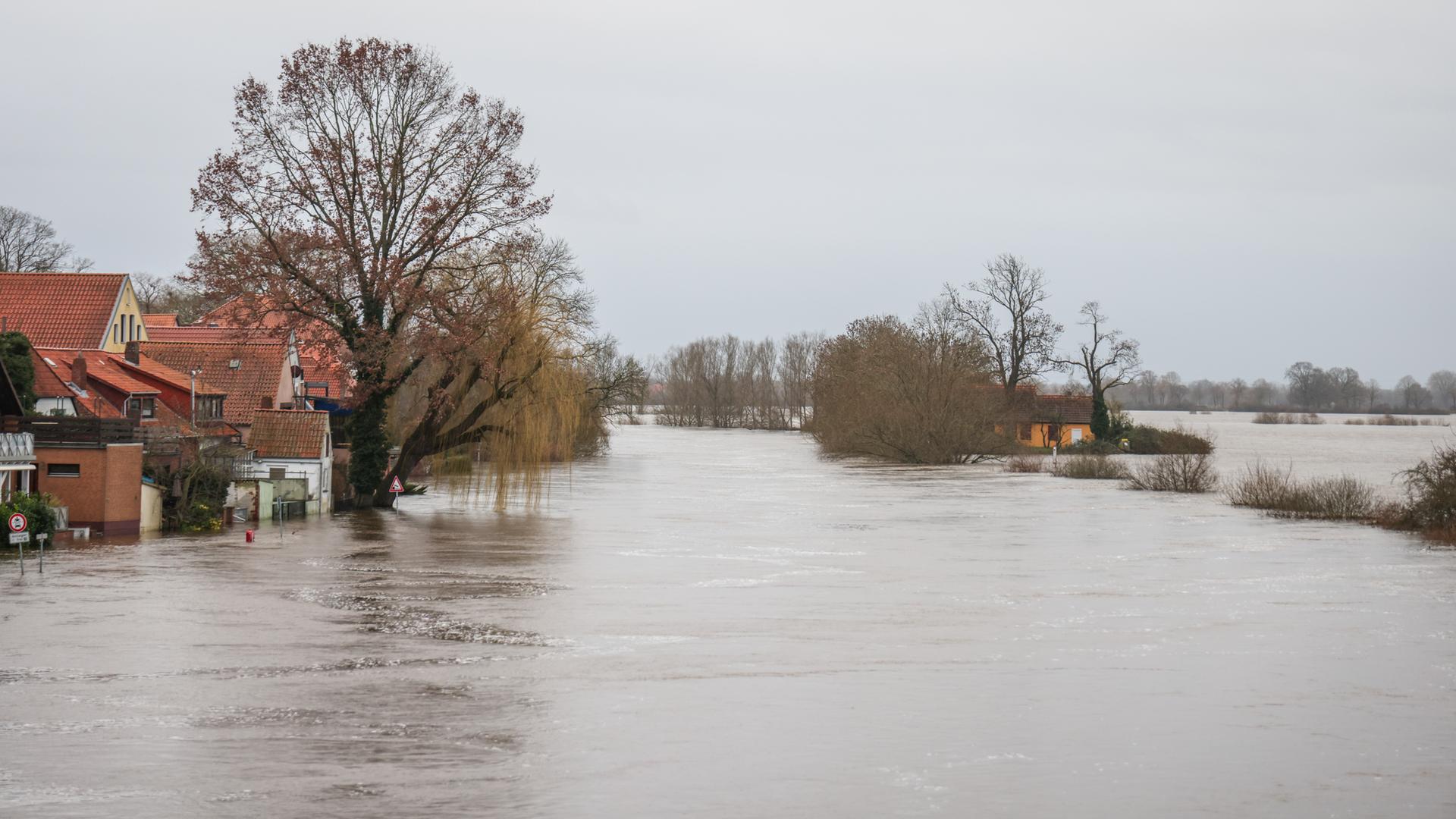 Hochwasser hat den Fluss Aller an der Altstadt von Verden über die Ufer treten lassen. Die Wassermassen haben eine Straße überflutet, links ragt ein Baum heraus. 
