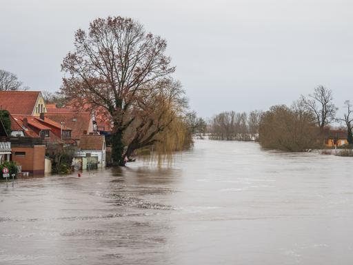 Hochwasser hat den Fluss Aller an der Altstadt von Verden über die Ufer treten lassen. Die Wassermassen haben eine Straße überflutet, links ragt ein Baum heraus. 