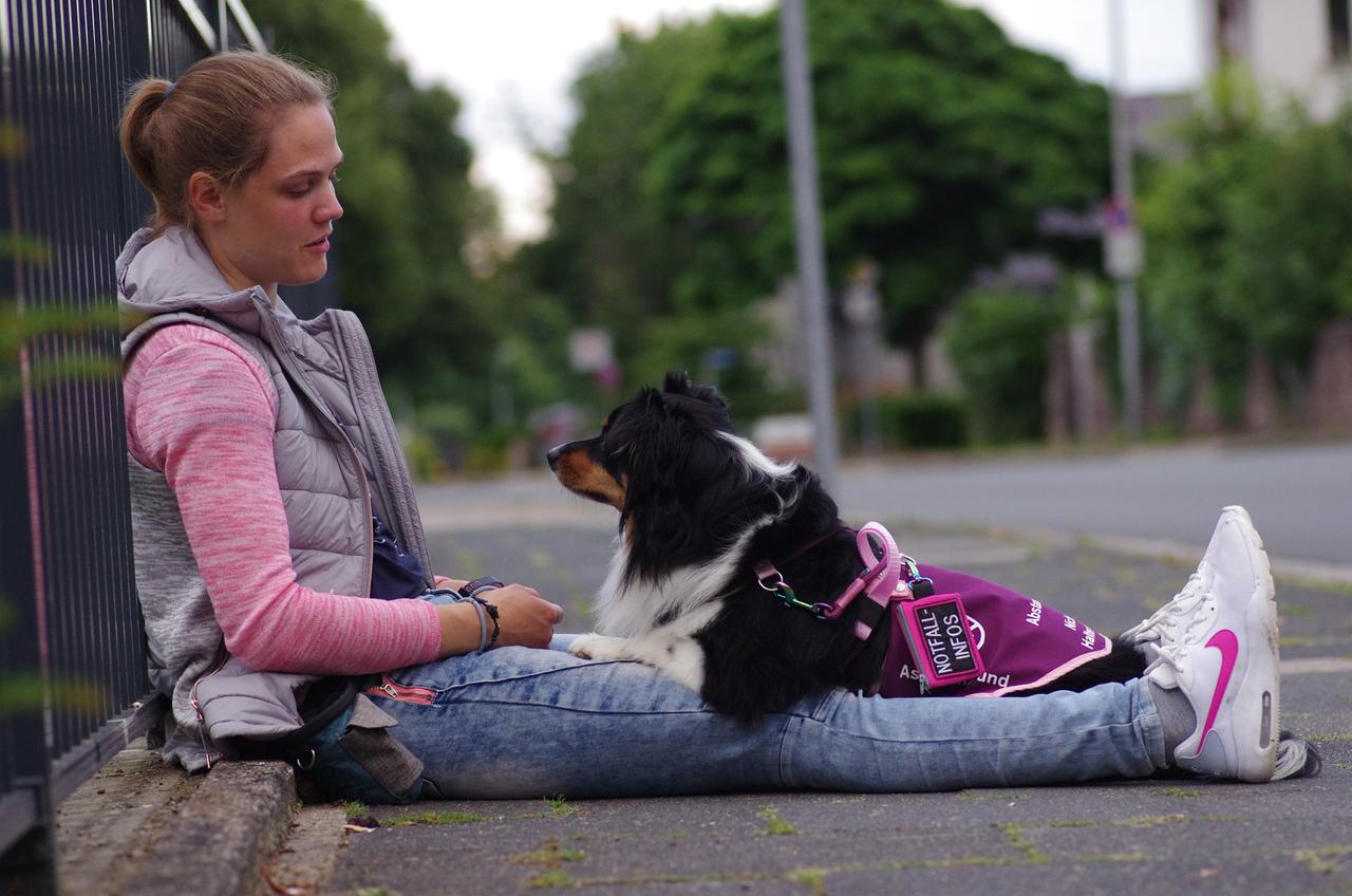 Tiere als therapeutische Hilfe