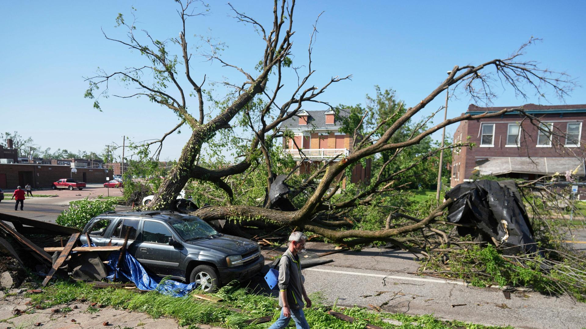 Eine Person geht an einem großen Baum vorbei, der eine Straße blockiert Eine Person geht an einem großen Baum vorbei, der eine Straße blockiert