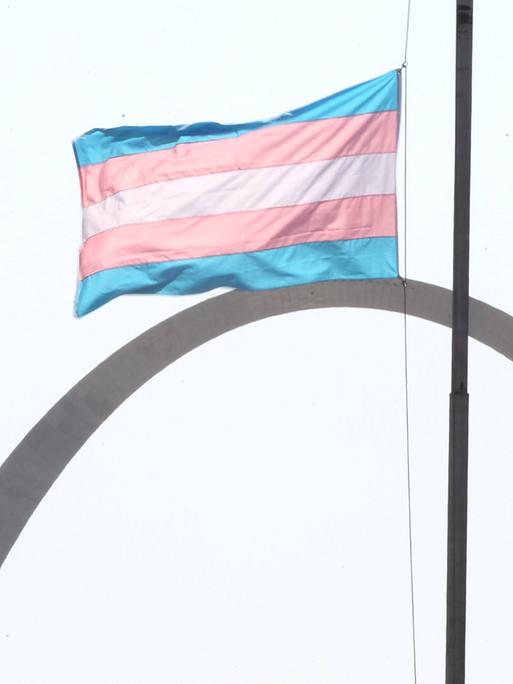 Eine transgender Flagge in der amerikanischen Metropole St. Louis.