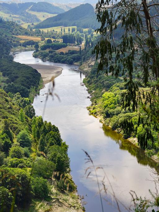 Durch eine Traumlandschaft windet sich der Whanganui Fluß, in dem sich die Wolken spiegeln.
