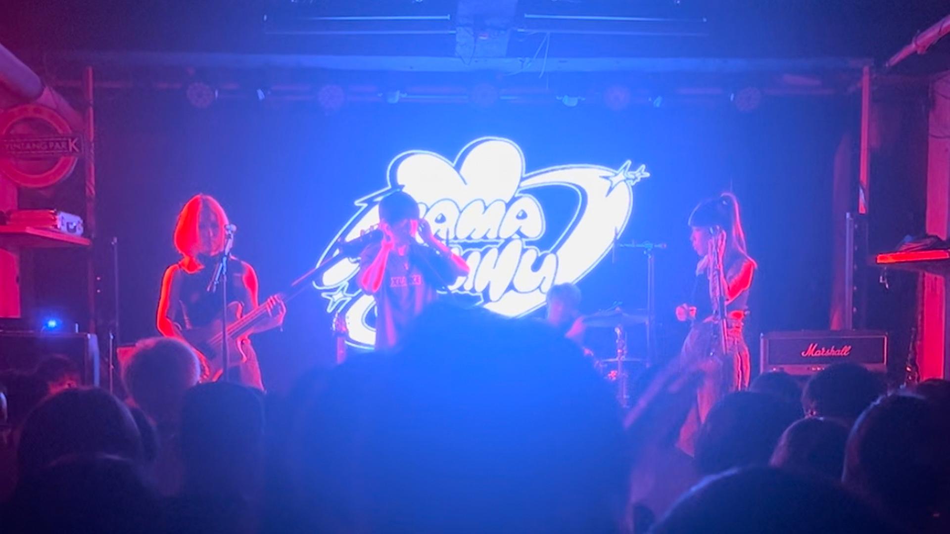 Eine Punkband steht auf einer blau-pink erleuchteten Bühne in einem kleinen Club. Auf dem Bühnenhintergrund steht in weißer geschwungener Schrift "Mamahuhu"
