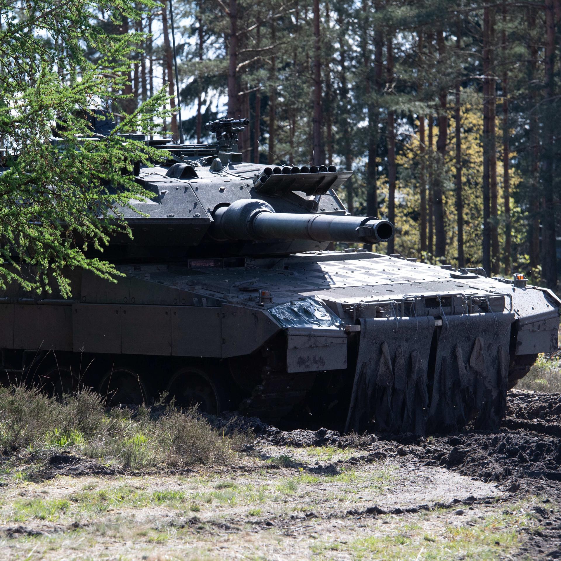 Kampfpanzer Leopard 2 im Gelände. 