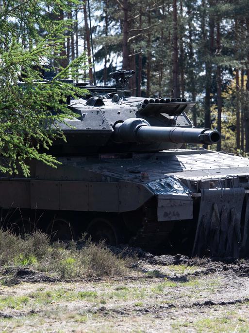 Kampfpanzer Leopard 2 im Gelände. 