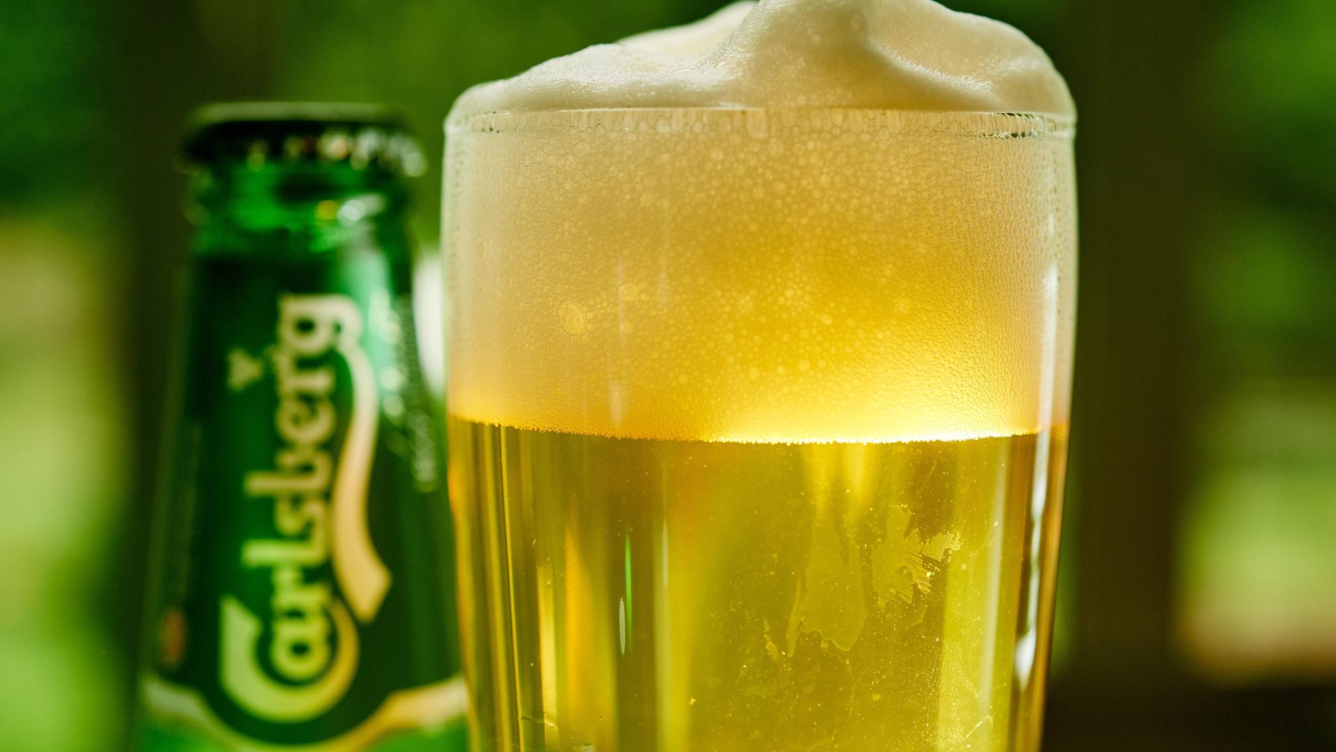 Nordrhein-Westfalen, Herdecke: Ein Glas Bier und eine Bierflasche der Marke Carlsberg stehen auf einem Tisch. Nordrhein-Westfalen, Herdecke: Ein Glas Bier und eine Bierflasche der Marke Carlsberg stehen auf einem Tisch.