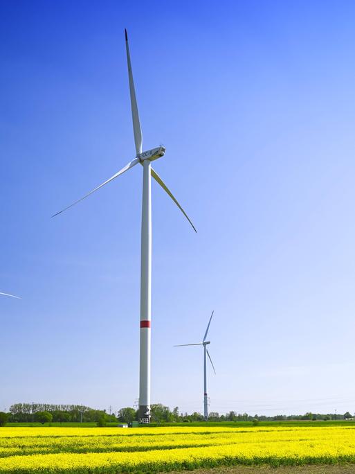 Windräder und Raps-Felder vor blauem Himmel