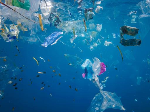 Unter Wasser schwimmt ein Schwarm Fische in klarem, blauem Meer. Zwischen den Fischen treiben mehrere Plastiktüten und anderer Müll.