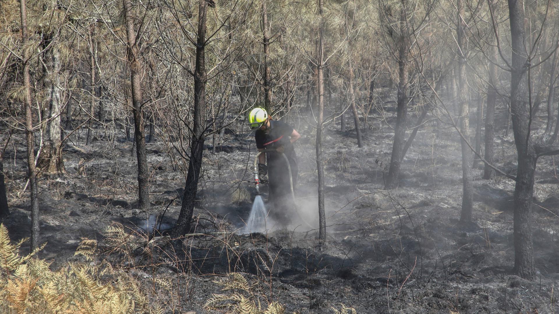 Frankreich, Hostens: Ein Feuerwehrmann versprüht Wasser in einem verbrannten Wald in Hostens, Südwestfrankreich.