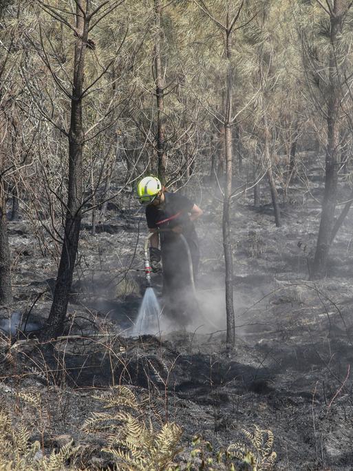 Frankreich, Hostens: Ein Feuerwehrmann versprüht Wasser in einem verbrannten Wald in Hostens, Südwestfrankreich.