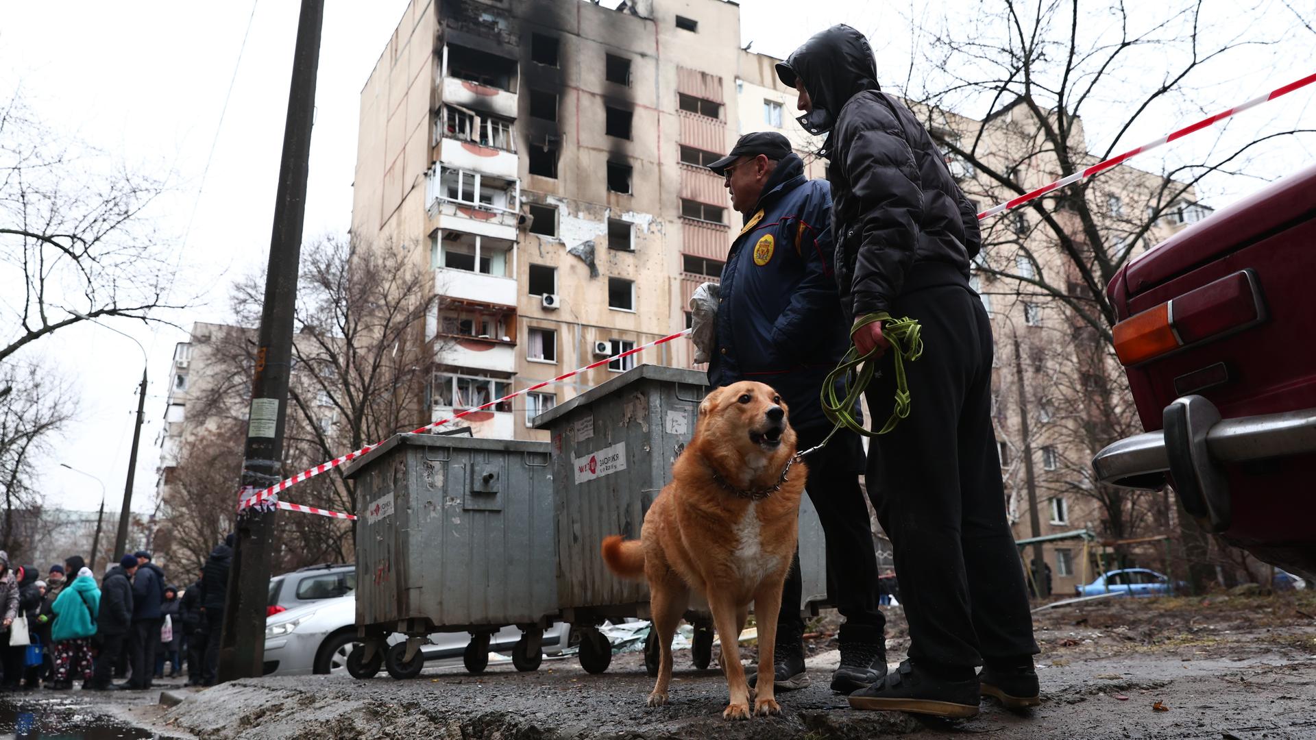 Zwei Personen und ein Hund stehen in der Nähe eines von einer russischen Drohne getroffenen Wohnhauses in Saporischschja. 