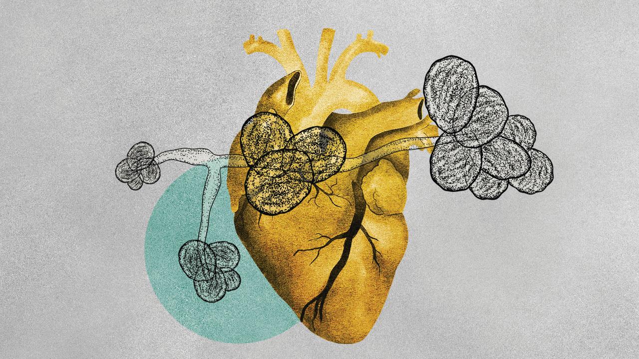 Illustration eines Hefepilz Candida auris der über der Illustration eines Herzens schwebt