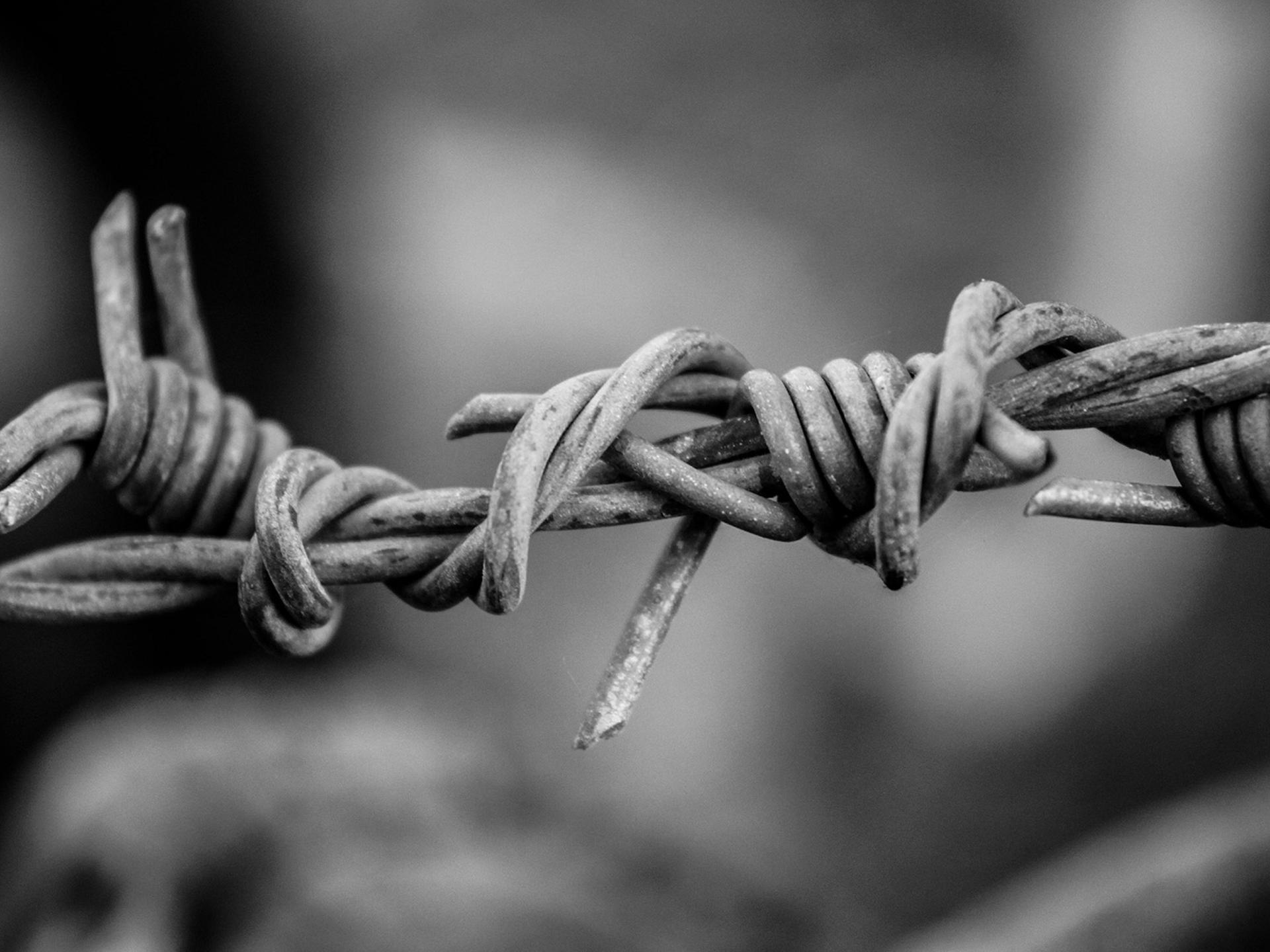 Drahtschlingen vor grauem Hintergrund. 