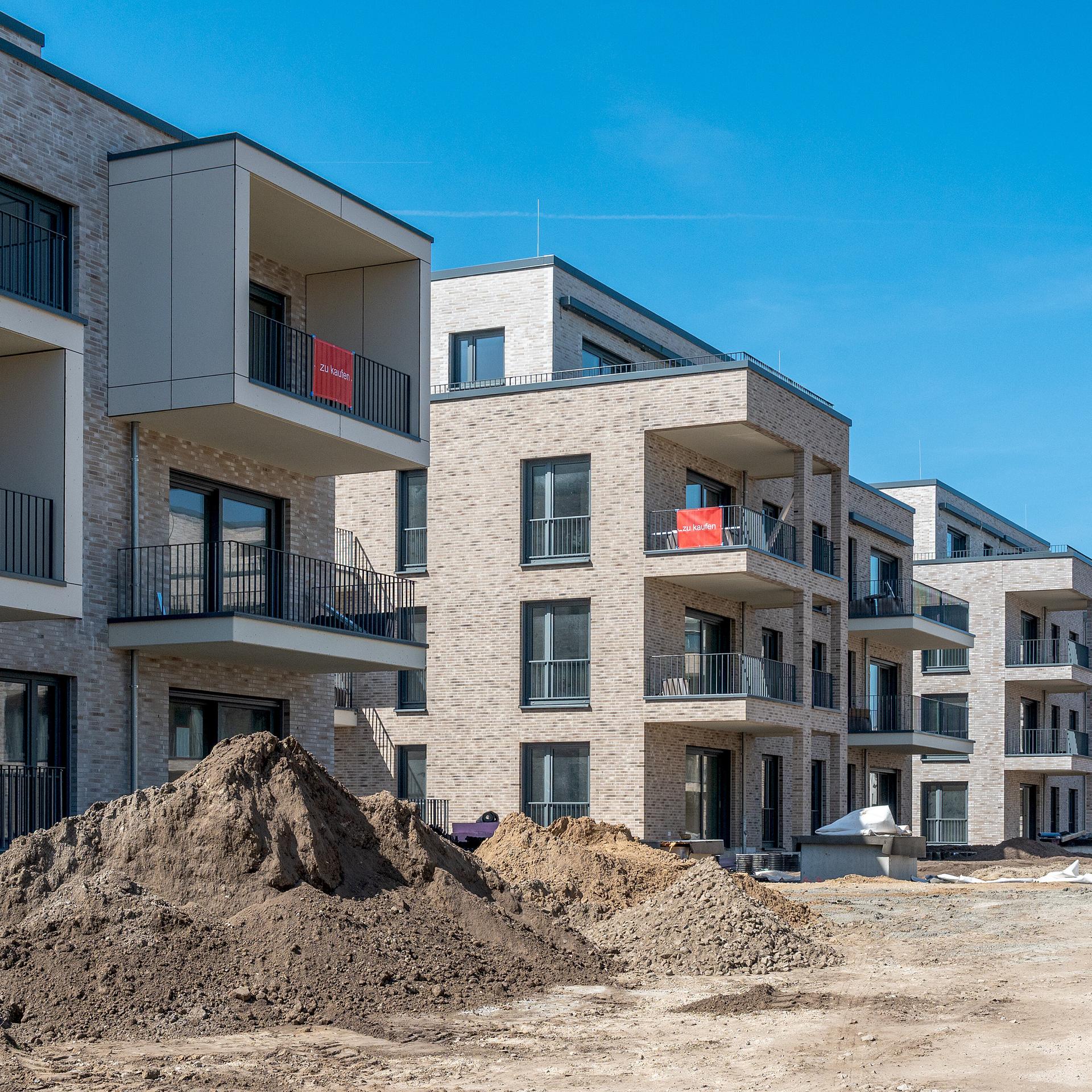 Hohe Mieten - Verschärft Wohngeld die Wohnungskrise?