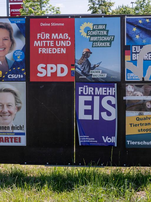 Eine Plakatwand zeigt Plakate verschiedener Parteien. In der ersten Reihe sind Plakate von großen Parteien wie CSU, SPD Grüne und AfD. In der zweiten Reihe sind Plakate von Kleinparteien zu sehen, darunter die Satirepartei, Volt und die Tierschutzpartei.