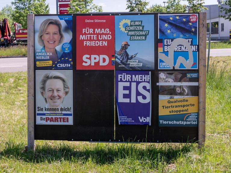 Eine Plakatwand zeigt Plakate verschiedener Parteien. In der ersten Reihe sind Plakate von großen Parteien wie CSU, SPD Grüne und AfD. In der zweiten Reihe sind Plakate von Kleinparteien zu sehen, darunter die Satirepartei, Volt und die Tierschutzpartei.