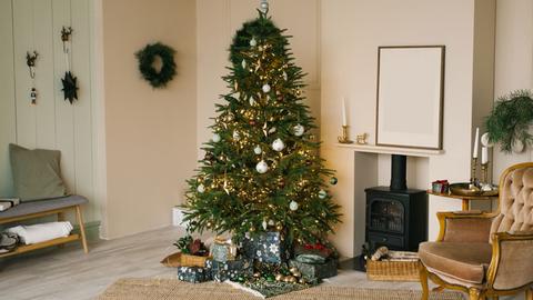 Im Mittelpunkt der Familienfeier steht er, der Tannenbaum - dabei ist der Brauch, sich einen Nadelbaum in die Wohnung zu stellen, noch recht jung.  Zu sehenf: ein geschmückter Tannenbaum in einem Zimmer. 