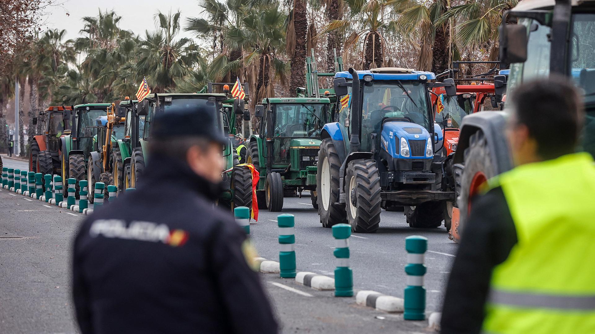 Bauernproteste in Spanien, wie hier in Valencia: Traktoren stehen hintereinander auf einer Straße.