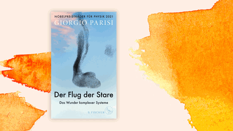 Cover von Giorgio Parisis Sachbuch „Der Flug der Stare“. Es ist blau und zeigt einen aus vielen kleinen Elementen bestehenden, langgezogenen Wirbel, ähnlich einem Vogelschwarm.