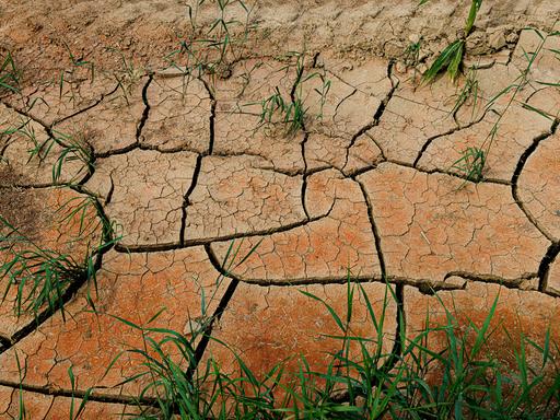 Ackerboden mit Trockenrissen. Ackerboden mit Trockenrissen.