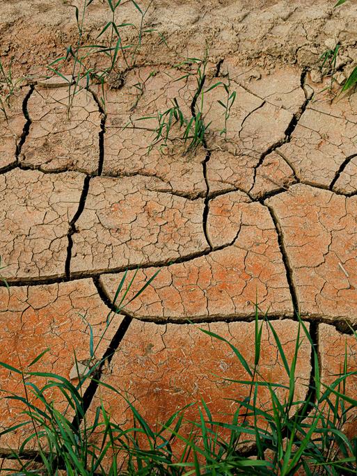 Ackerboden mit Trockenrissen. Ackerboden mit Trockenrissen.