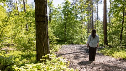 Der Friedwald bzw. Bestattungswald im Rudolstädter Hain in Thüringen. Hier werden Menschen auf einer Fläche von etwa 26 Hektar Wald beerdigt. 