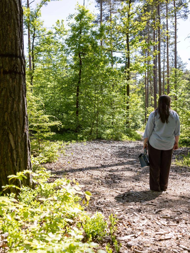 Der Friedwald bzw. Bestattungswald im Rudolstädter Hain in Thüringen. Hier werden Menschen auf einer Fläche von etwa 26 Hektar Wald beerdigt. Der Friedwald bzw. Bestattungswald im Rudolstädter Hain in Thüringen. Hier werden Menschen auf einer Fläche von etwa 26 Hektar Wald beerdigt.