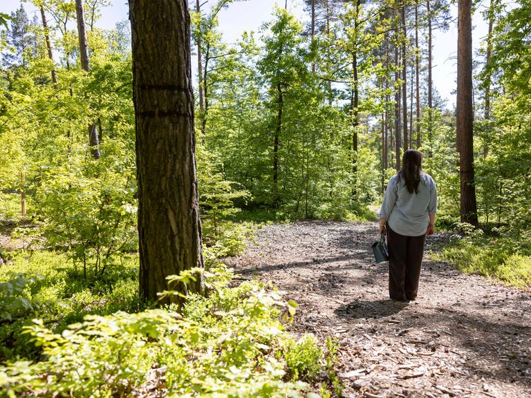 Der Friedwald bzw. Bestattungswald im Rudolstädter Hain in Thüringen. Hier werden Menschen auf einer Fläche von etwa 26 Hektar Wald beerdigt. Der Friedwald bzw. Bestattungswald im Rudolstädter Hain in Thüringen. Hier werden Menschen auf einer Fläche von etwa 26 Hektar Wald beerdigt.