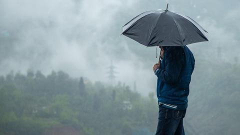 Ein Mann steht mit einem Regenschirm vor einem Nebelwald.
